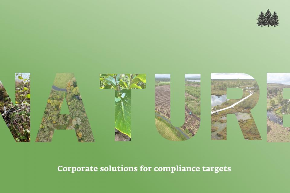 corporate solutions for compliance targets