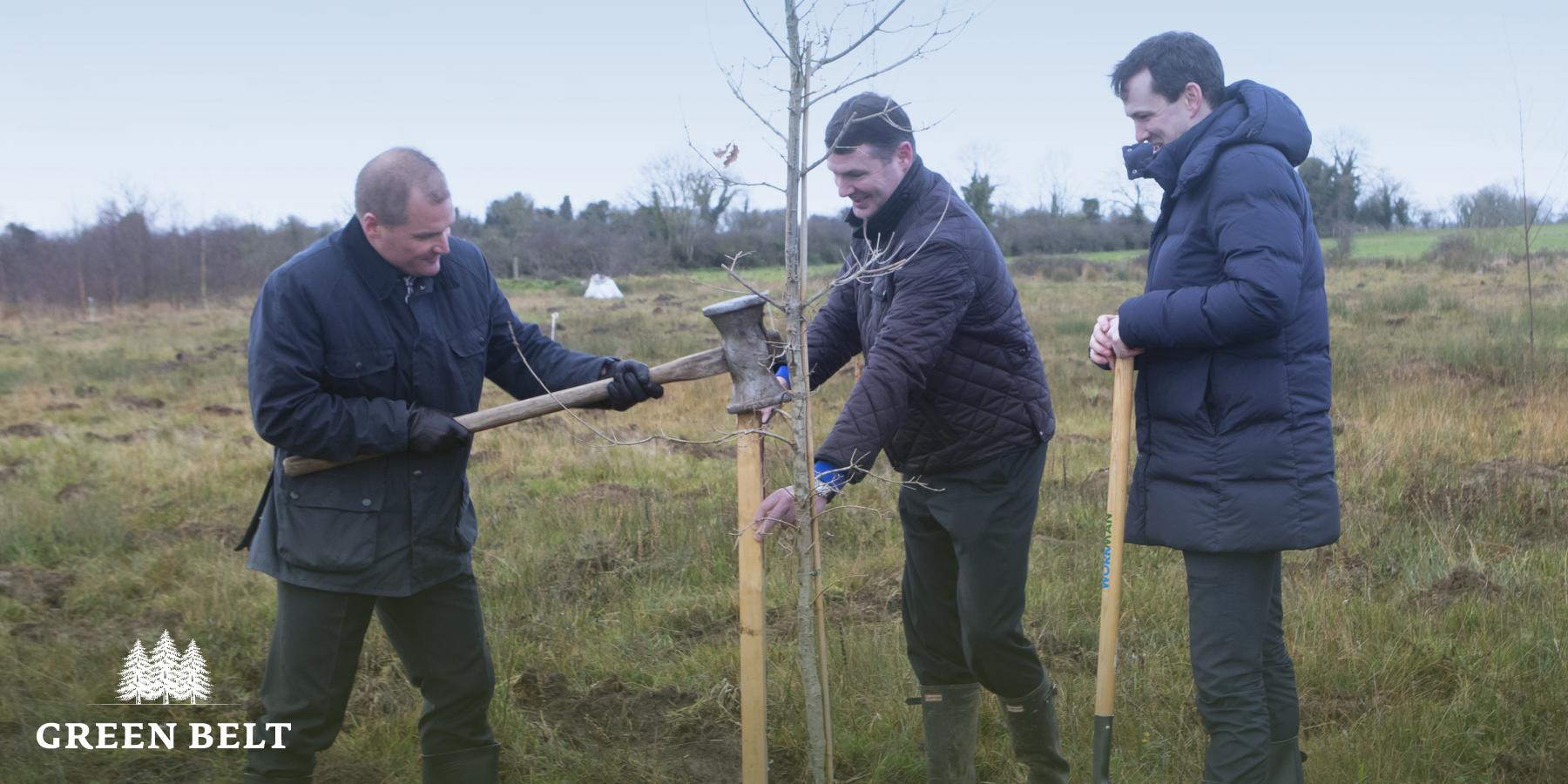 aldi_staff_planting_trees_12.jpg