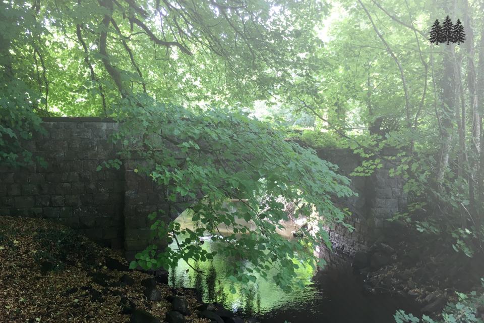 greenbelt_trees_bridge