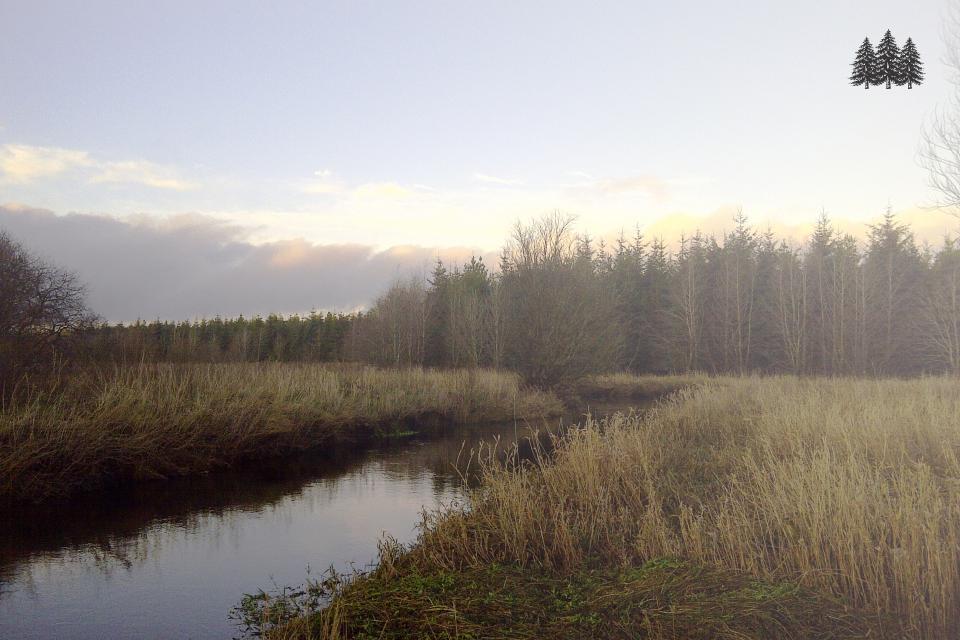 john_perry_river_view