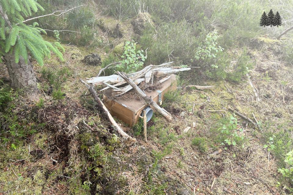 Nature based solutions