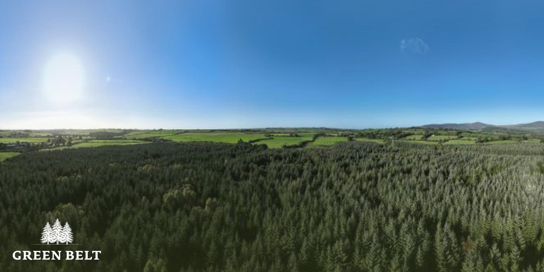 panoramic_view_connors_forestry_durrow_reduced.jpg