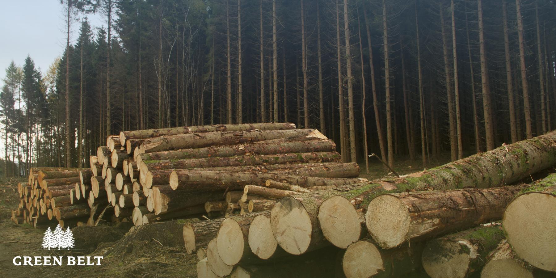 timber_stack_with_trees.jpg