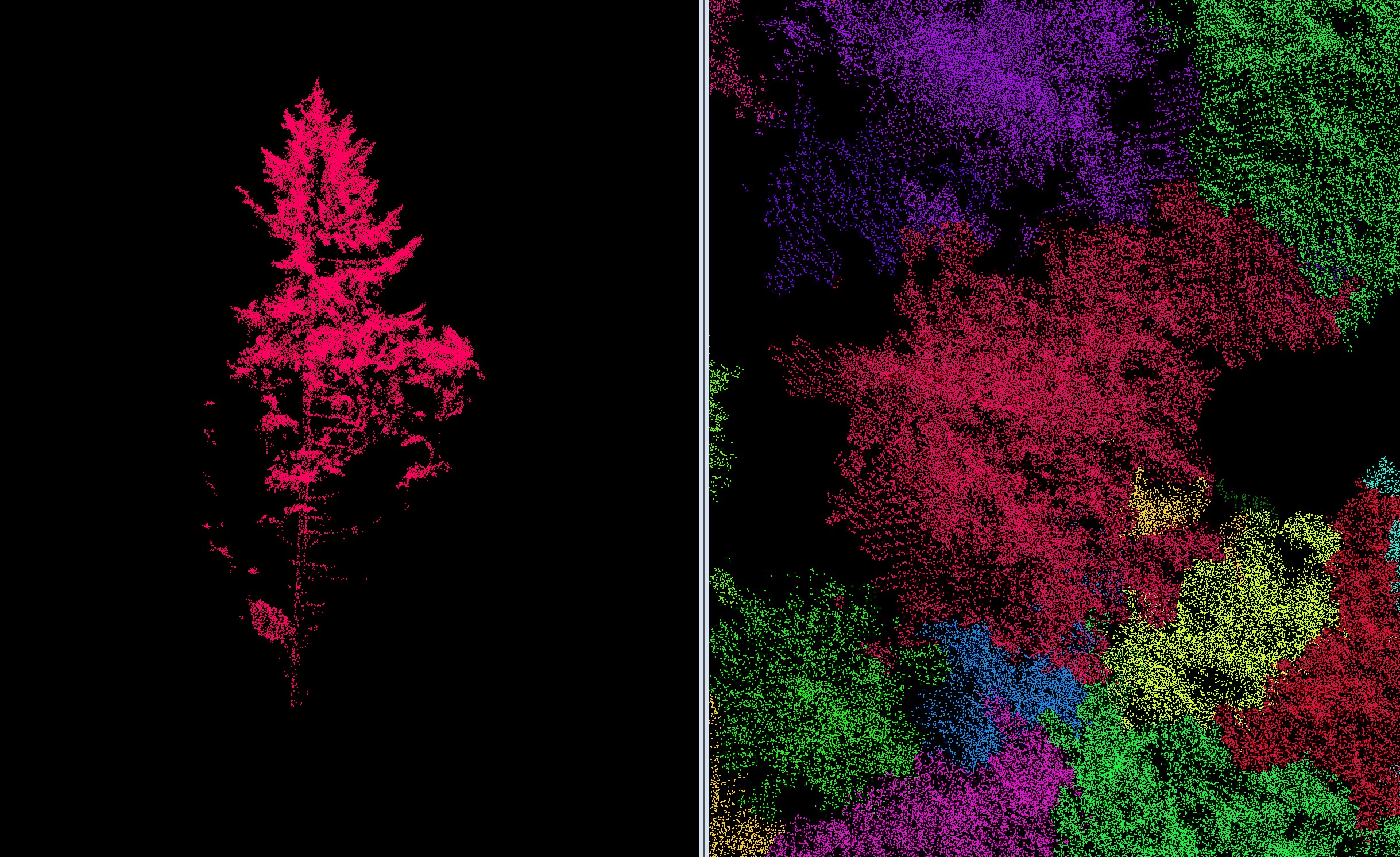 lidar data on tree height and carbon data