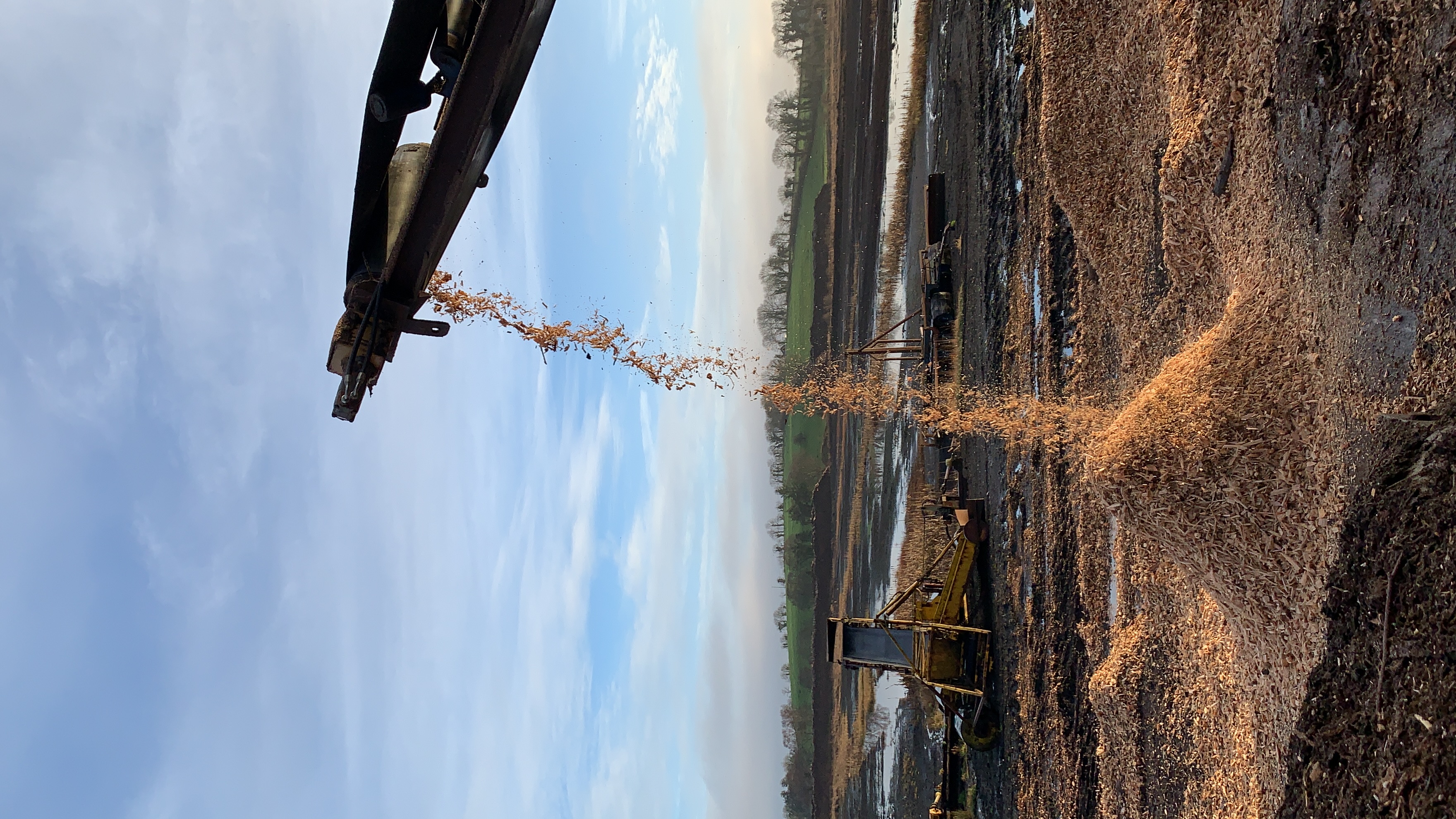 wood chip from a chipper